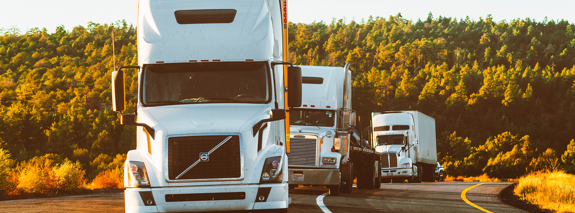 Freedom Quest Insurance Agency